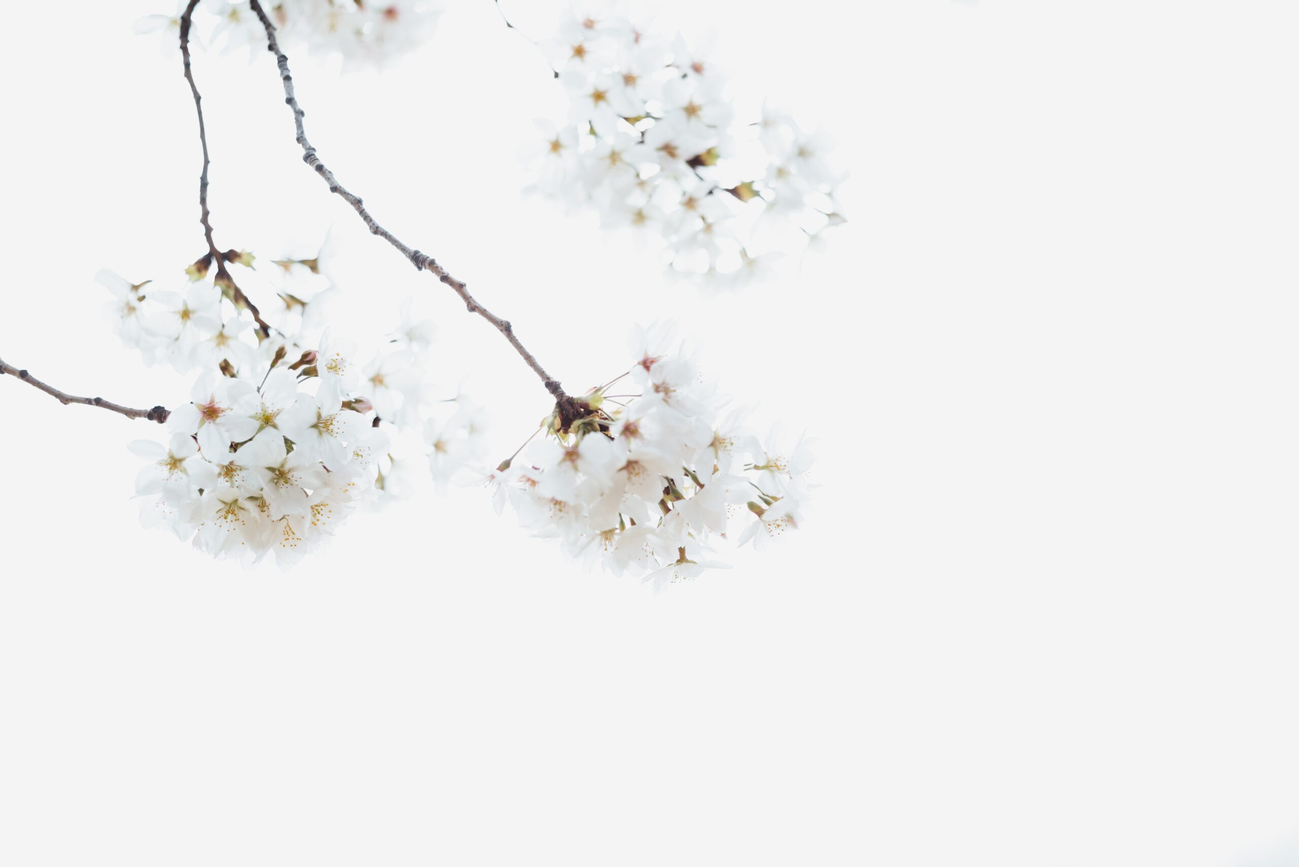 Holistic Wellbeing - Discover Your Spirituality