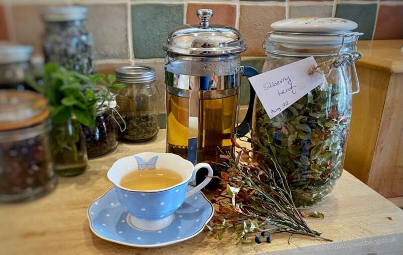Bilberry Leaf Tea - Holistic Wellbeing